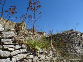 nte Venere-30-07-2020 10